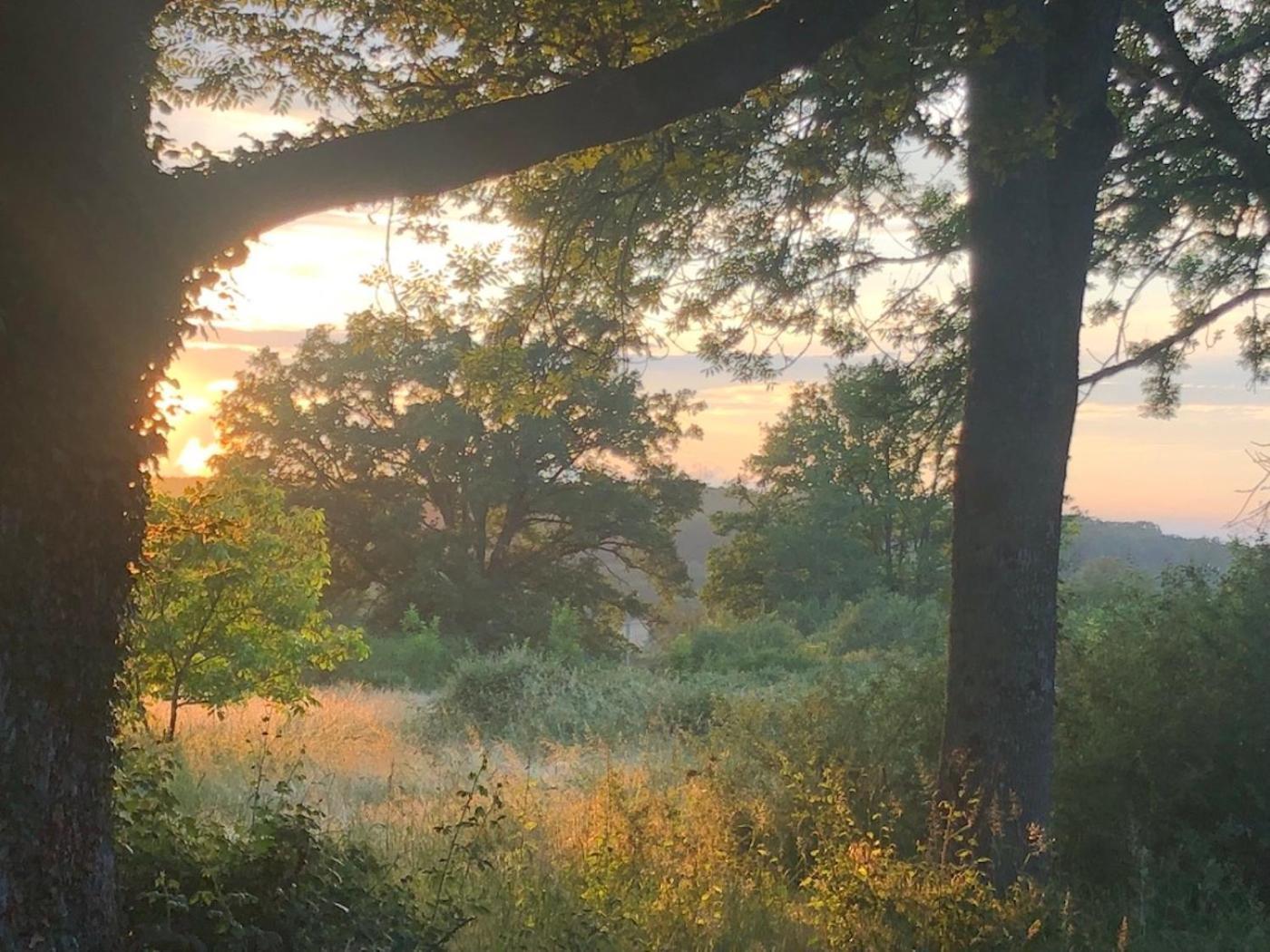 Domaine La Faix, Gite La Chouette Saint-Plaisir المظهر الخارجي الصورة