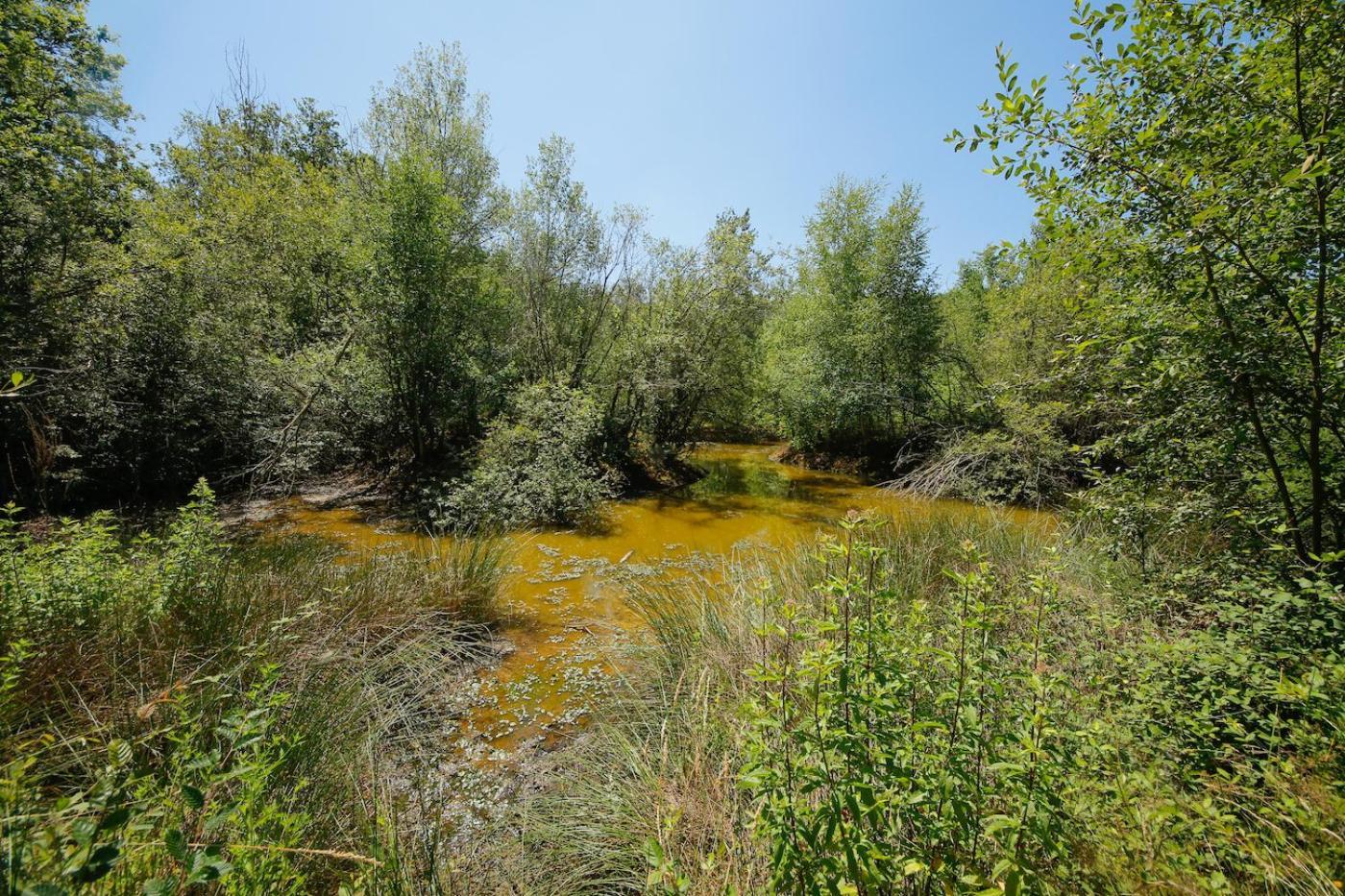 Domaine La Faix, Gite La Chouette Saint-Plaisir المظهر الخارجي الصورة