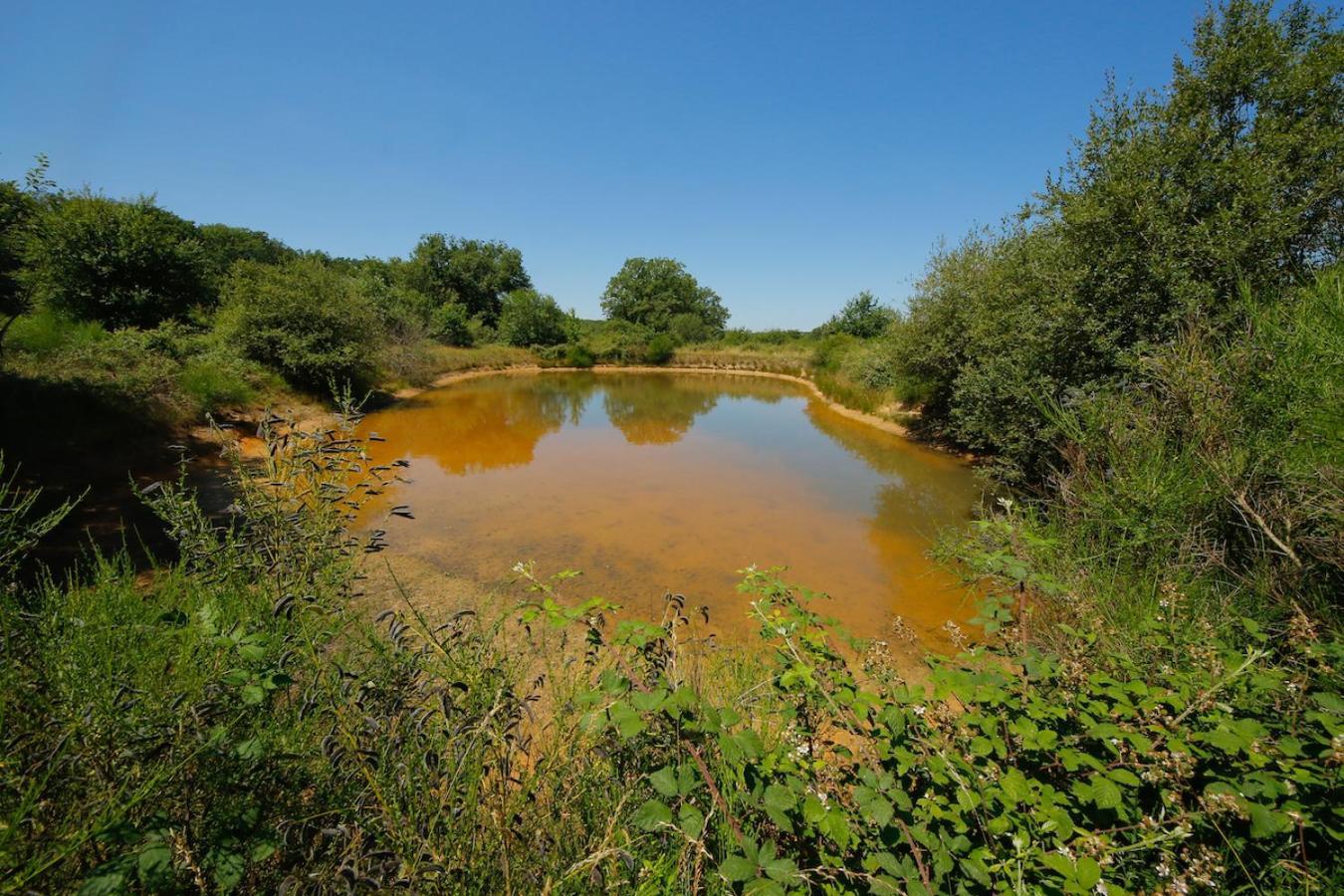 Domaine La Faix, Gite La Chouette Saint-Plaisir المظهر الخارجي الصورة